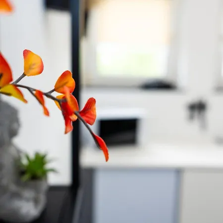 Unique - 2 Bedrooms - Balcony - Kitchen