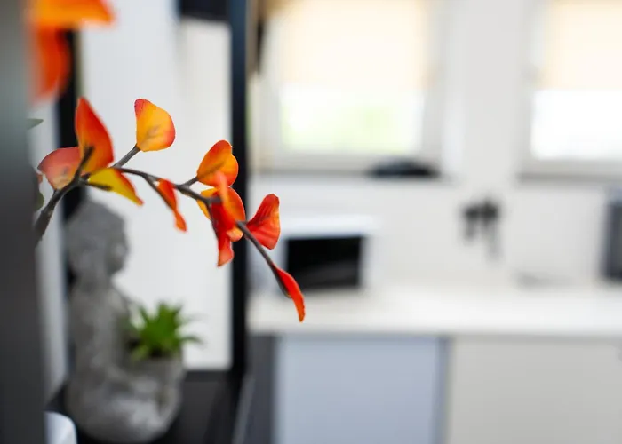 - 2 Bedrooms - Balcony - Kitchen